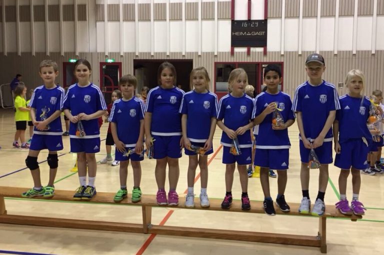 Minis: Erfolgreiches Heimturnier in der Maingauhalle